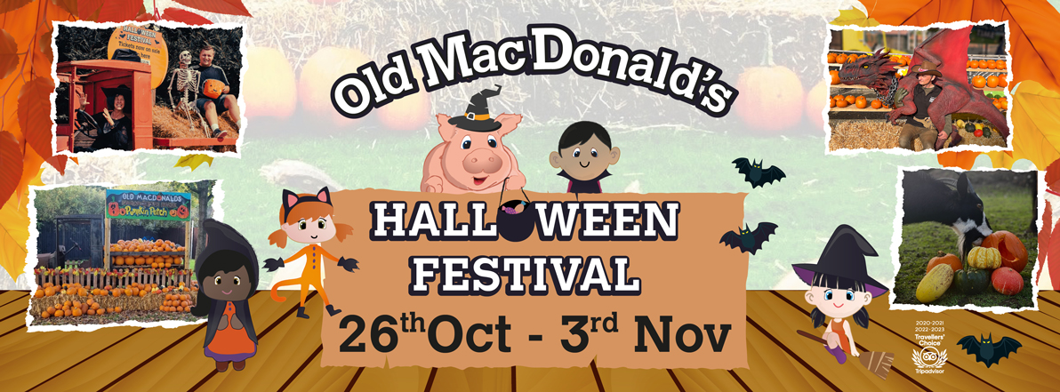 The image is a promotional banner for Old MacDonald's Halloween Festival, running from 26th October to 3rd November. The banner includes fun Halloween-themed graphics of children in costumes (a fox, a witch, and a child dressed in black) alongside a smiling pig. Various photos show festive activities, including pumpkin patches, people in Halloween costumes, and farm animals. The background features a field with pumpkins, adding to the autumn atmosphere. The event is decorated with leaves, pumpkins, and bats