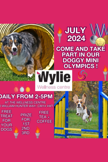 July 2024.  Come and take part in our Doggy Mini Olympics!  Daily from 2-5pm.  Free treat for your dog.   Prize for 1st, 2nd, 3rd.  Free tea + coffee